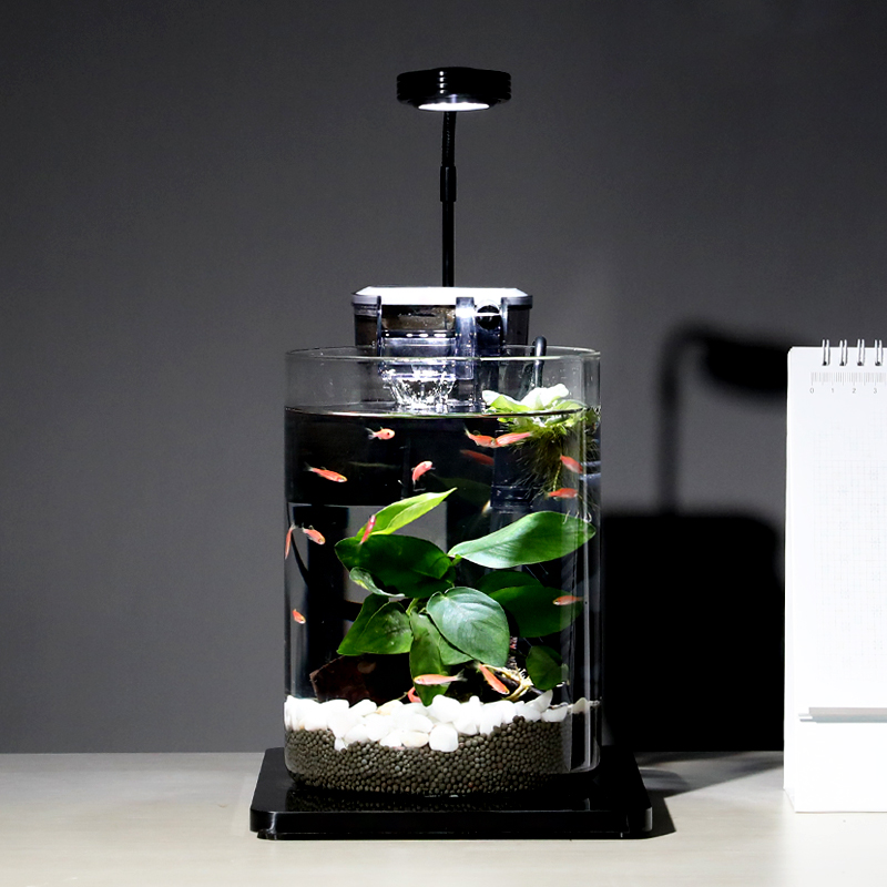铂菲斯办公桌面创意小型玻璃鱼缸家用客厅迷你鱼缸生态造景装饰缸