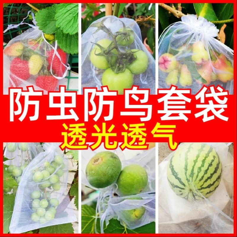 葡萄套袋水果防鸟防虫专用网袋无花果枇杷芒果苹果袋草莓保护袋子