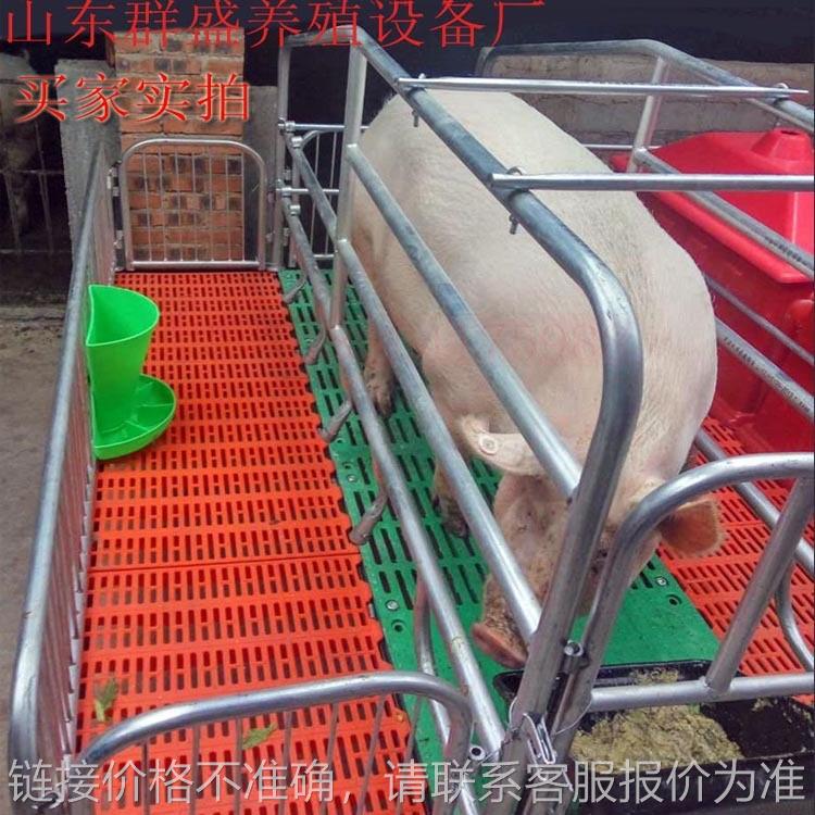 新型加厚母猪产床双体单体猪产床 养殖设备分娩栏高培猪用 产床