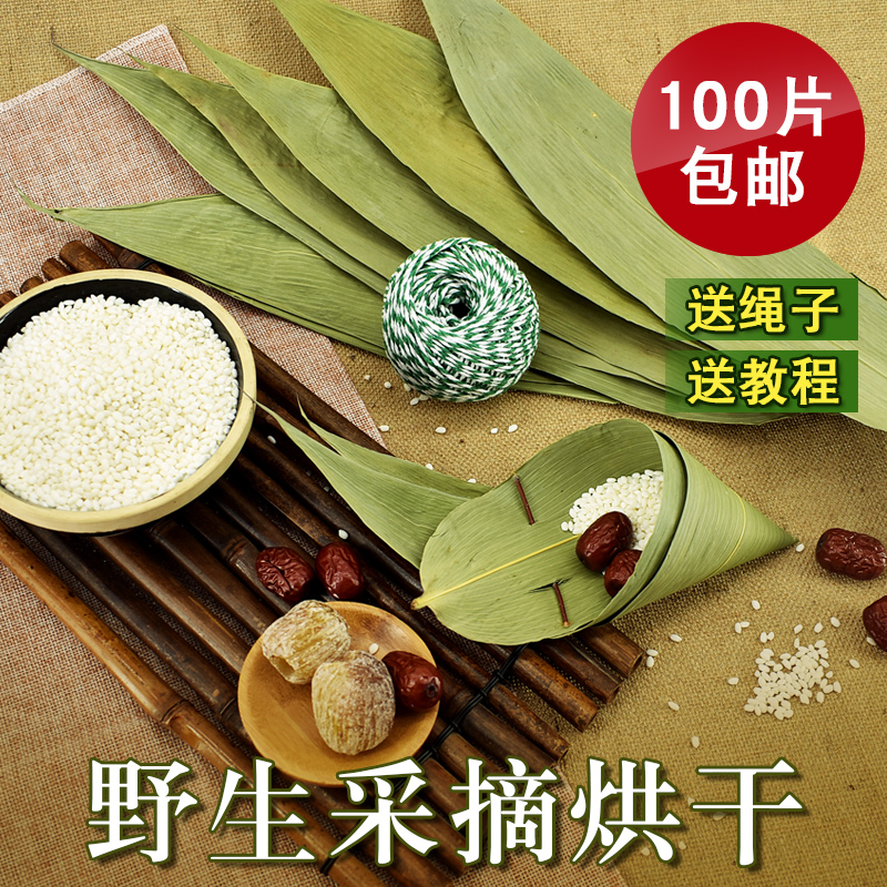干粽叶包粽子的大粽子叶新鲜天然粽叶干粽子叶100张棕叶粽子 免邮