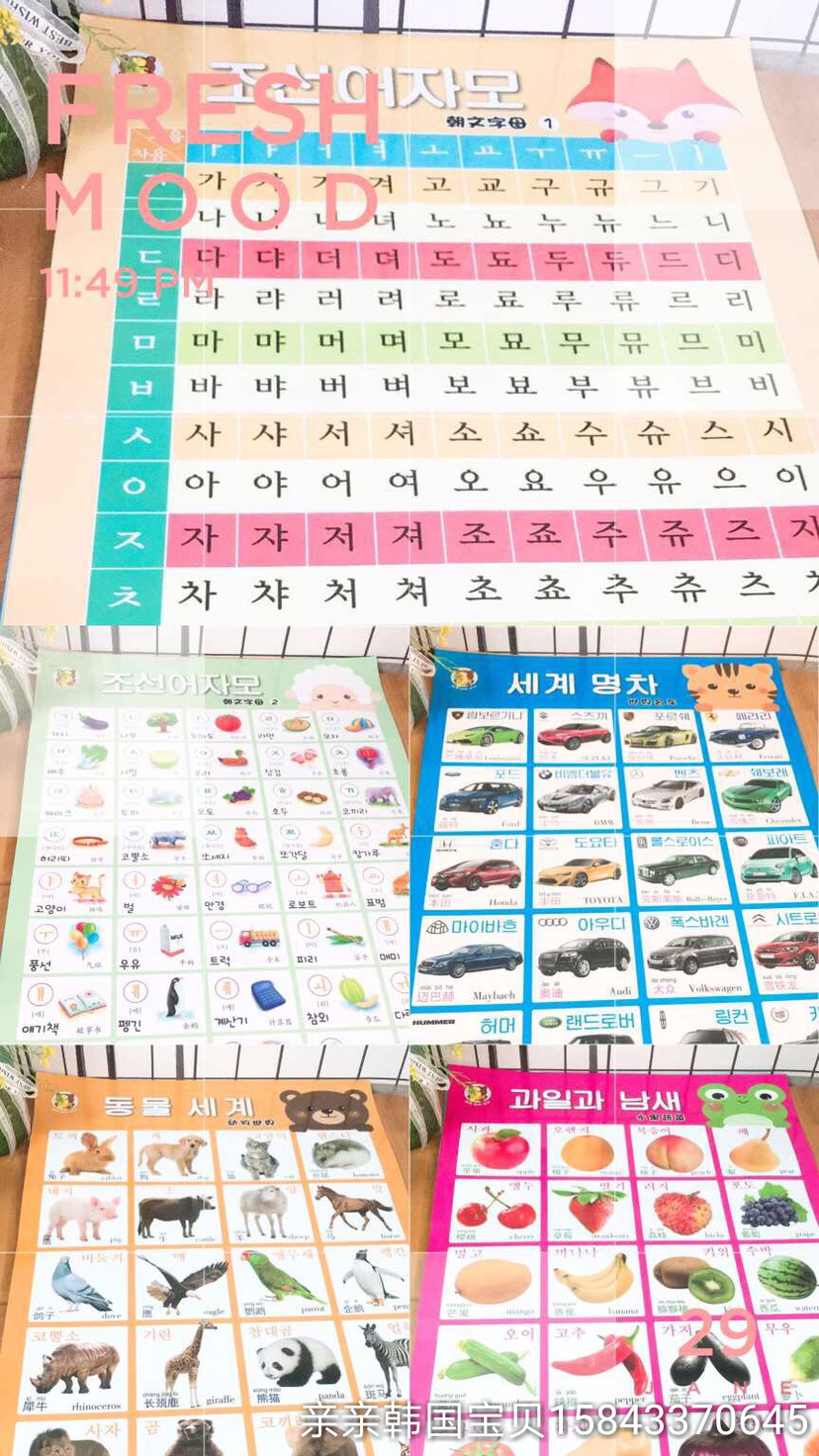 新款认知朝文挂图  朝鲜语/韩语  幼儿启蒙 中韩对照 水果 动物
