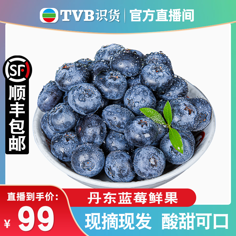 【tvb识货专属】丹东蓝莓鲜果现摘大果新鲜孕妇甜水果