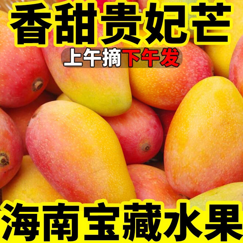 海南贵妃芒果新鲜5斤红金龙芒果应季时令水果当季新鲜水果包邮9
