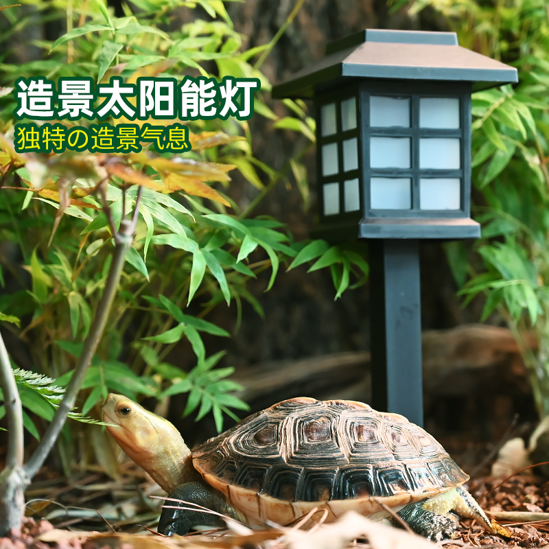 黄缘龟专用养殖箱造景太阳能灯爬宠安缘乌龟饲养缸布景装饰材料