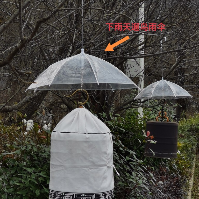 热卖遛画眉鸟 遛鸟雨伞 专用下雨天防淋湿笼子笼布 透明不遮阳光