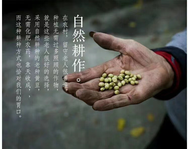贵州老品种绿皮黄豆 自留品种非转基因豆腐豆芽豆浆专用黄豆2.7斤
