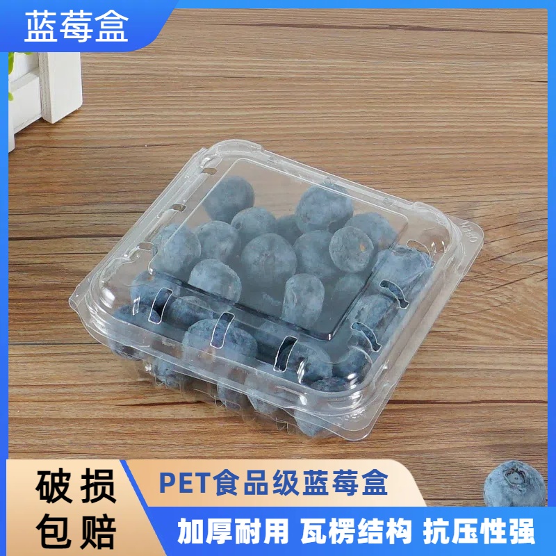 125g克蓝莓盒子树莓打包盒加厚透明塑料贴纸透气一次性蓝莓包装盒