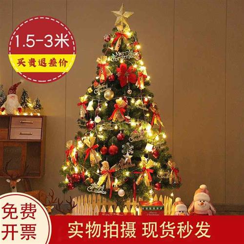 圣诞树家用15米1821豪华加密套餐节日小型桌面装饰品60cm