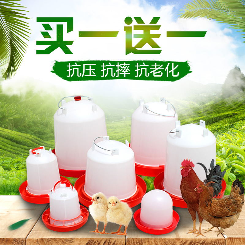鸡用自动饮水桶鸡饮水壶鸡水槽饲料桶家禽自动饮水器鸡喂水器料桶