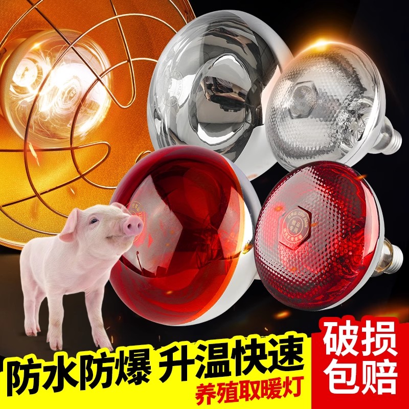 保温灯养殖场专用取暖灯泡孵化小鸡育雏仔猪加热烤灯猪用取暖灯泡