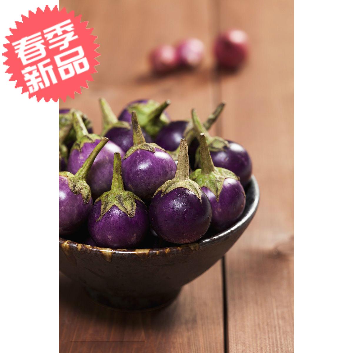 紫脆茄泰国紫色圆茄子一口茄沙拉茄子咖喱配料茄子空运
