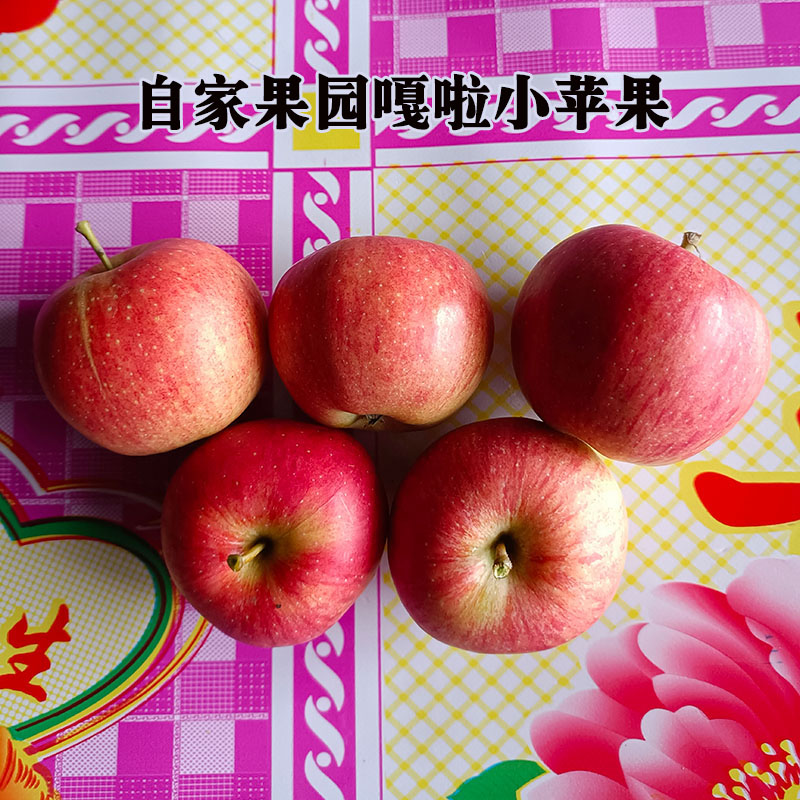 现摘山西隰县当季原生态野生小苹果孕妇辅食脆甜嘎啦新鲜水果10斤