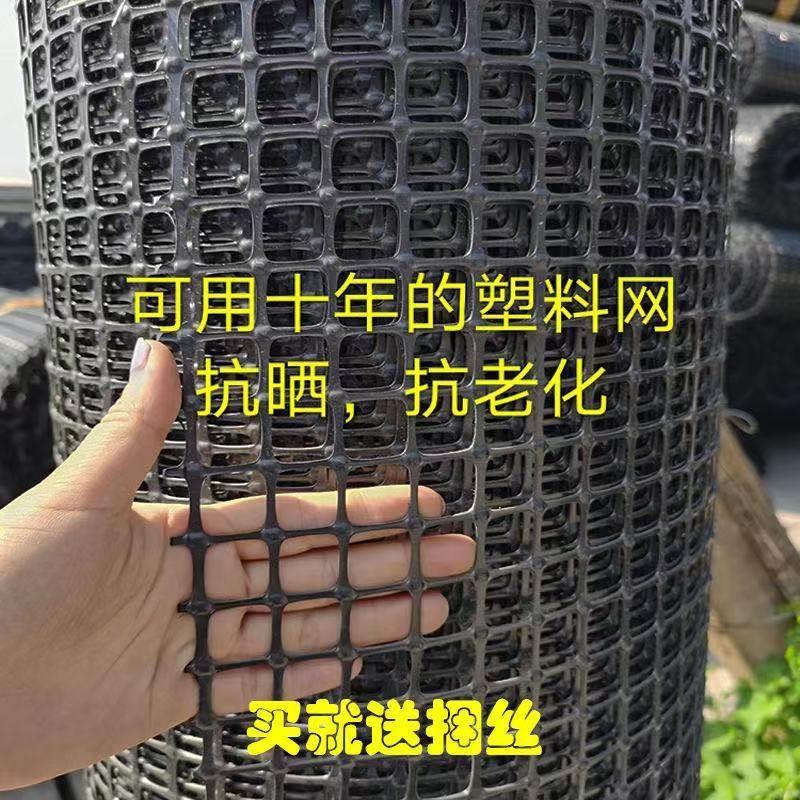 加厚胶网子塑料网鸡鸭围栏圈地围网果园防护网圈玉米网漏粪网特卖