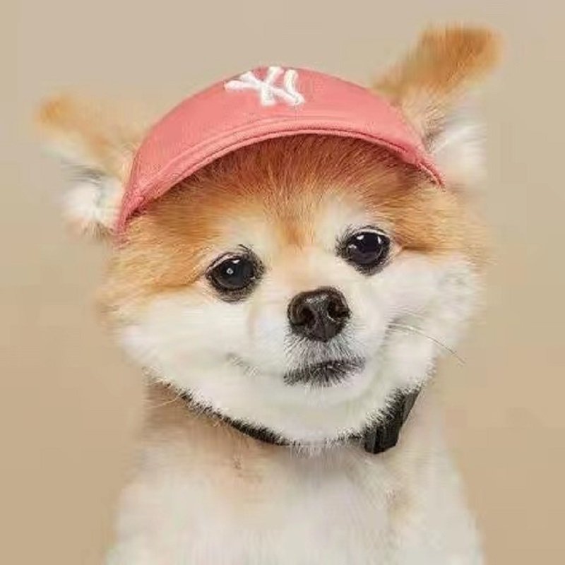 新品韩国宠物帽子夏季遮阳太阳帽泰迪狗狗棒球帽子宠物用品猫咪帽
