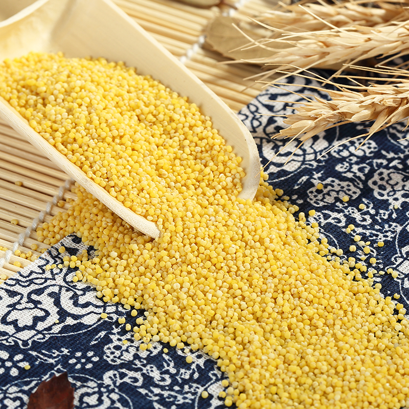 东北农家小黄米新米10斤 黄小米孕妇宝宝吃的小黄米粥月子米非5斤
