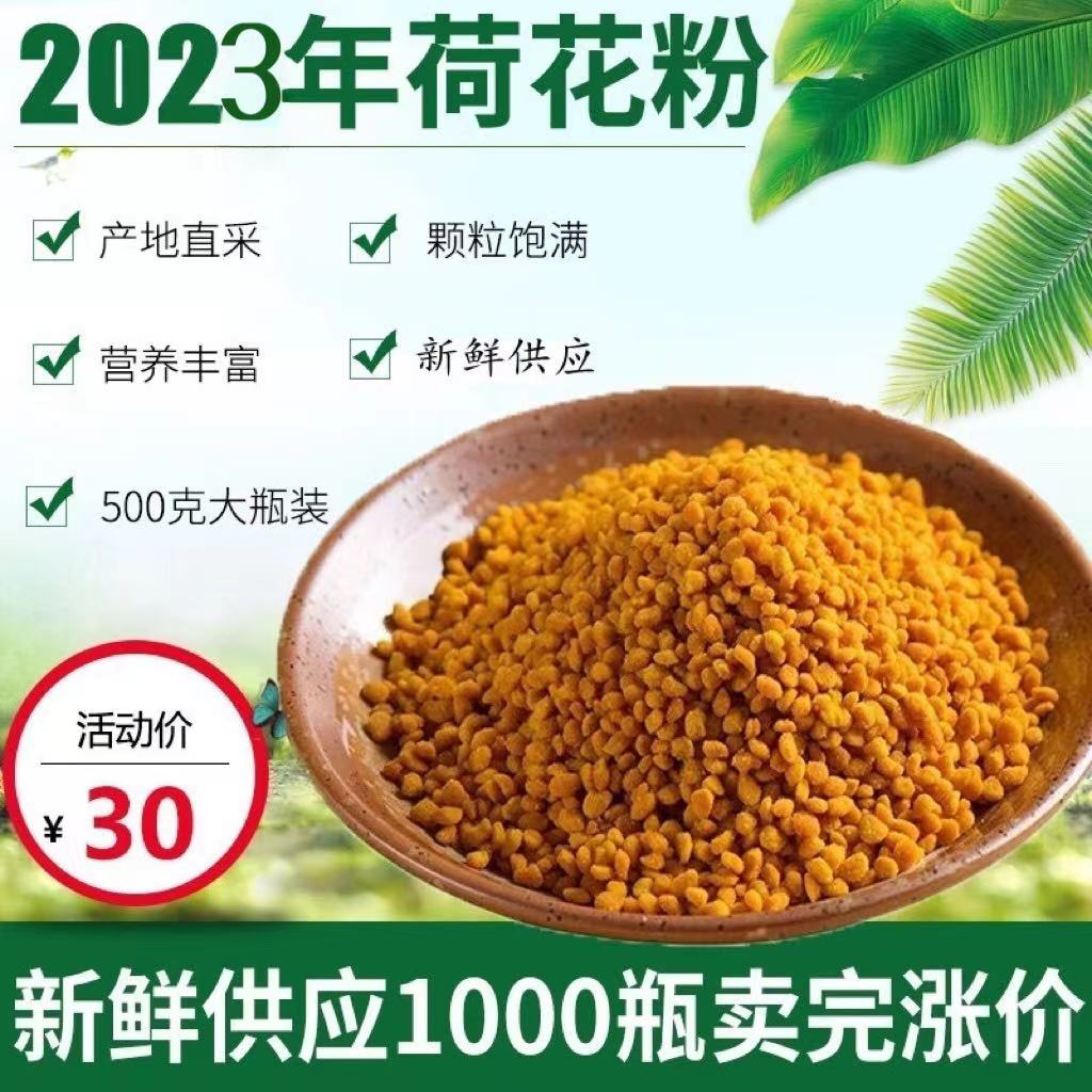 新鲜荷花粉2023食用天然蜂花粉农家自产莲花纯粉女正品500g包邮