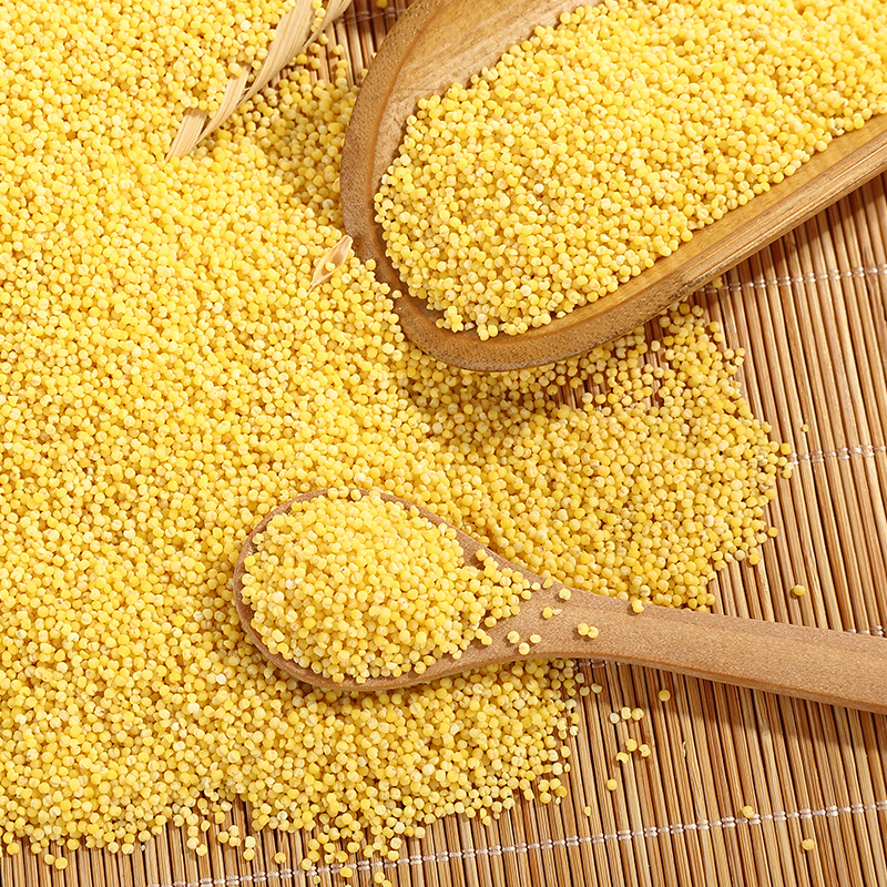 东北杂粮农家黄小米新米5斤装 黄小米孕妇宝宝吃的小黄米粥月子米