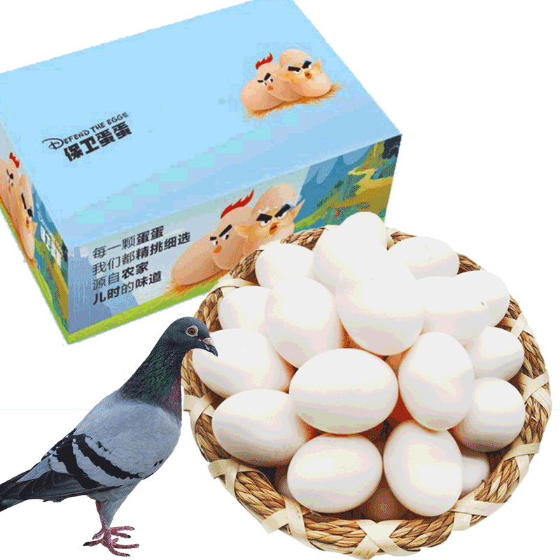保卫蛋蛋 鸽子蛋30枚新鲜农家杂粮白鸽蛋宝宝辅食非受精不可孵化