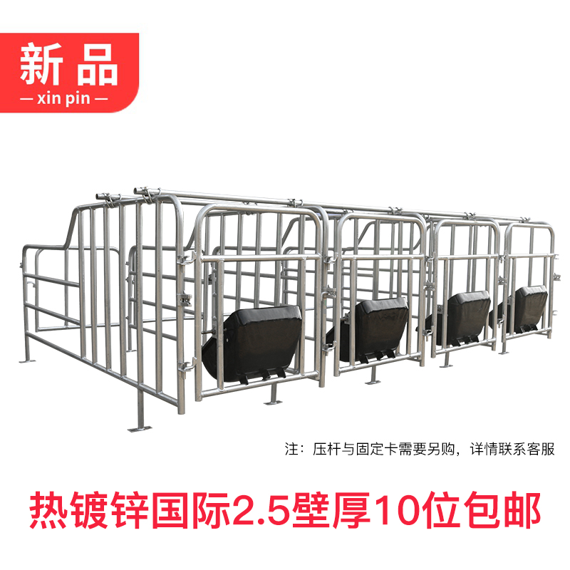 农盛乐母猪定位栏限位栏公猪10位6分热镀锌国标定位栏养猪厂设备