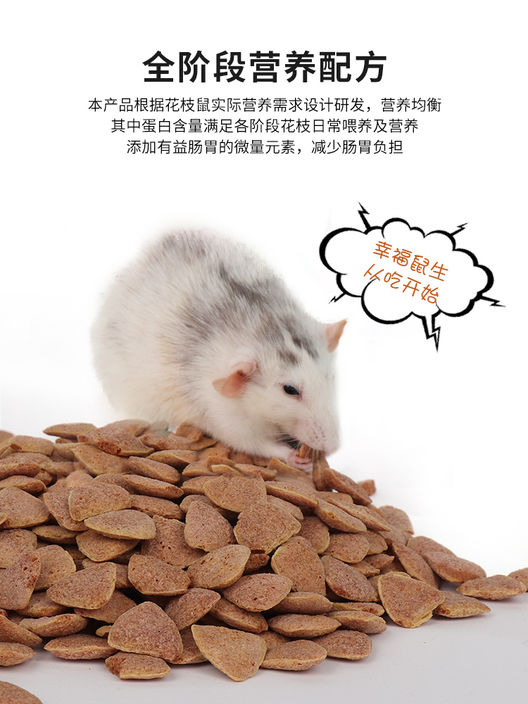 花枝鼠粮食主粮全龄阶段营养合成三角粮营养鼠粮用品饲料食物零食