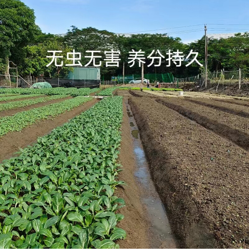 阳台种菜土有机肥土壤家用蔬菜种土通用型养花土泥土营养土种植土