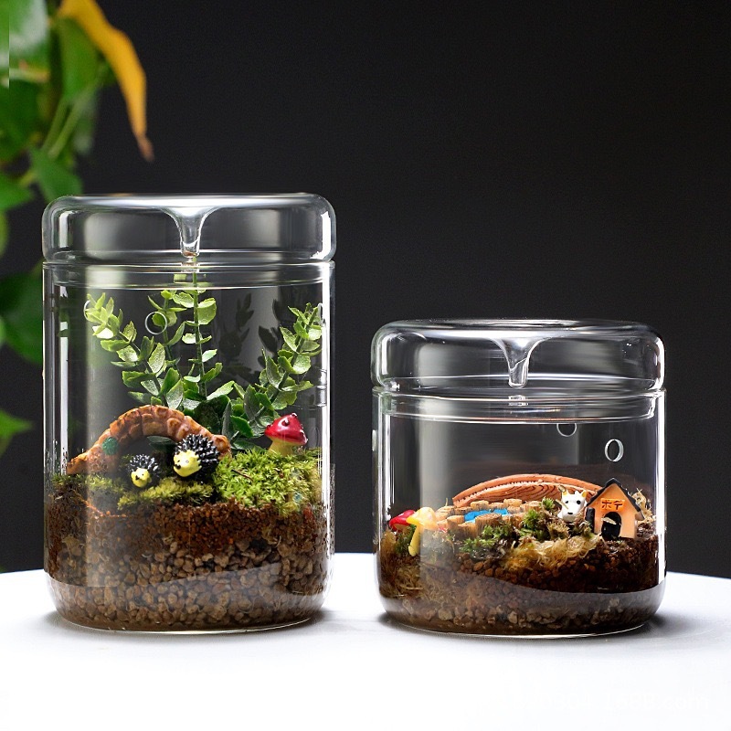 厂家收藏手作桌面玻璃微景观露集杯植物观赏瓶透明采光瓶鱼缸生态