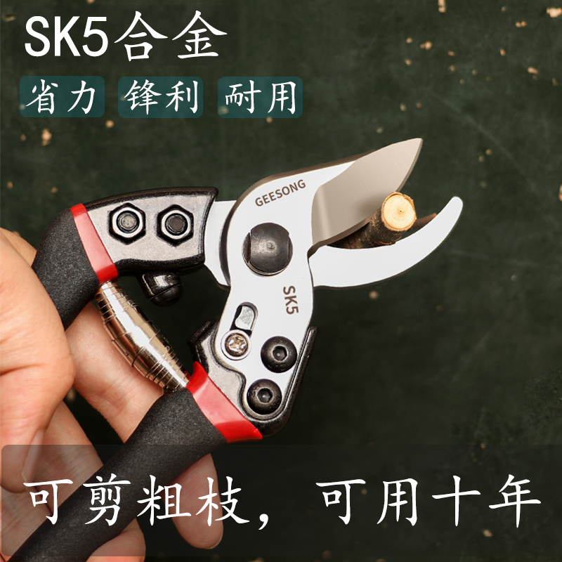 日本进口SK5不锈钢强力花艺园林剪刀果树修枝剪省力果树花卉修剪