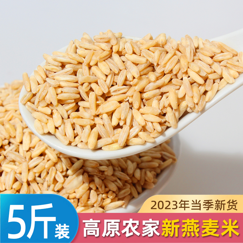 新米燕麦米全胚芽燕麦米5斤米饭伴侣五谷杂粮粗粮农家裸燕麦