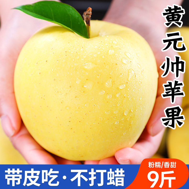 正宗黄元帅苹果9斤新鲜水果应当季粉面黄金帅刮泥丑苹果整箱包邮