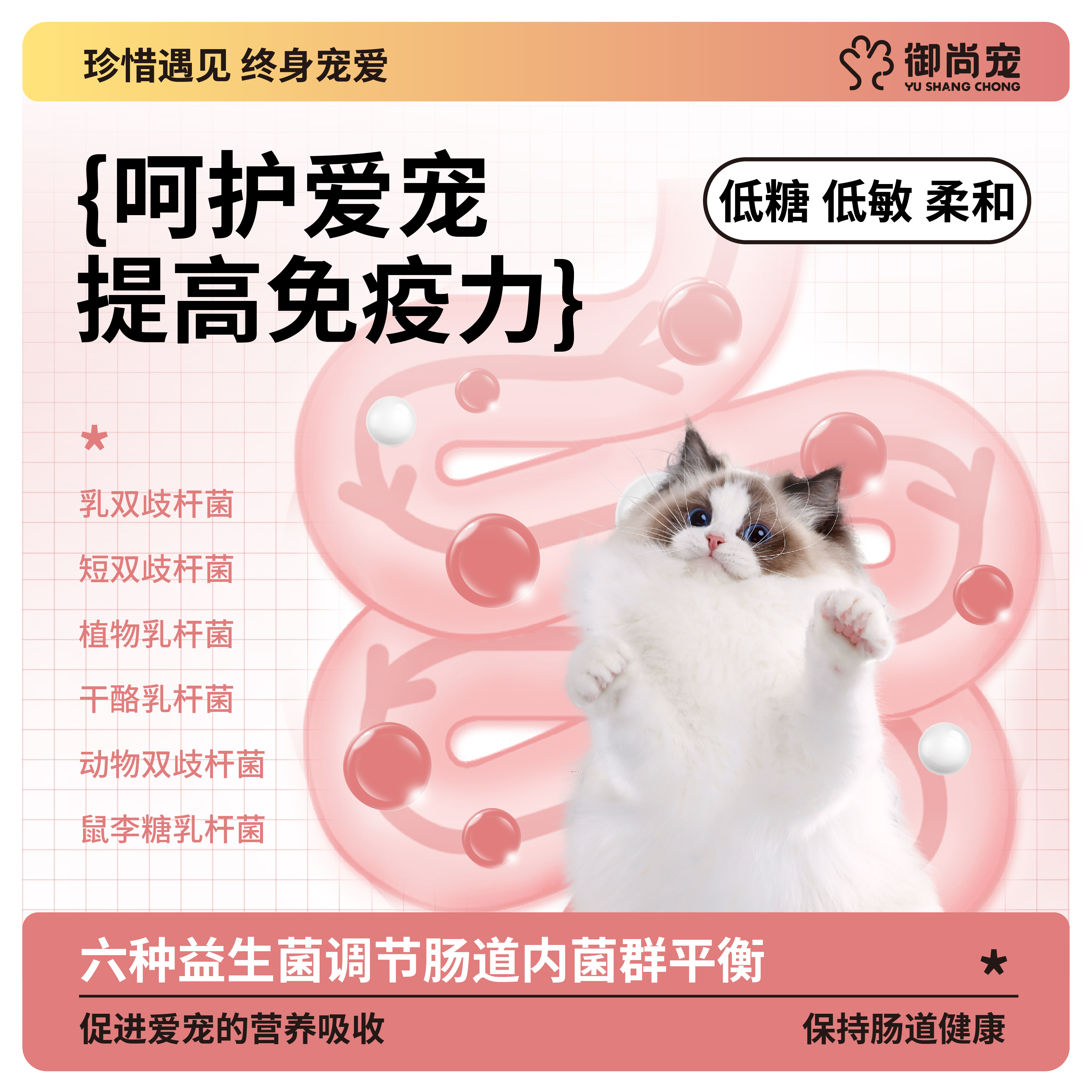 两袋装猫咪羊奶粉幼猫专用孕乳营养滋补成猫产后猫喝的猫用羊奶粉