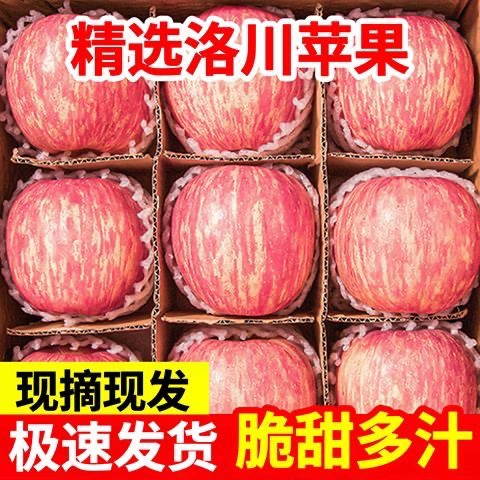 陕西延安洛川红富士苹果新鲜水果孕妇小孩脆甜整箱包邮应季水果