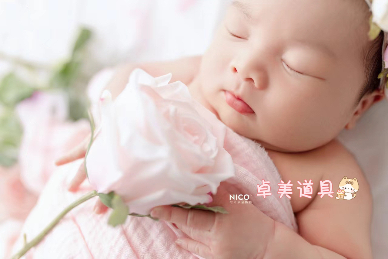 新生儿摄影主题道具 玫瑰花满月 新生儿