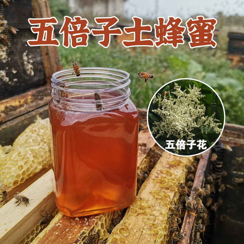 五倍子蜂蜜农家自产药花蜜1斤装野花蜂蜜土蜂蜜成熟蜂蜜