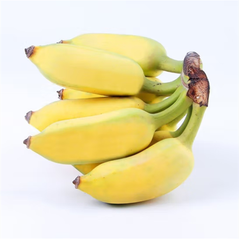 顺丰海南三亚芭蕉新鲜水果粉蕉芭蕉粉蕉蛋蕉香蕉小米蕉皇帝蕉5斤