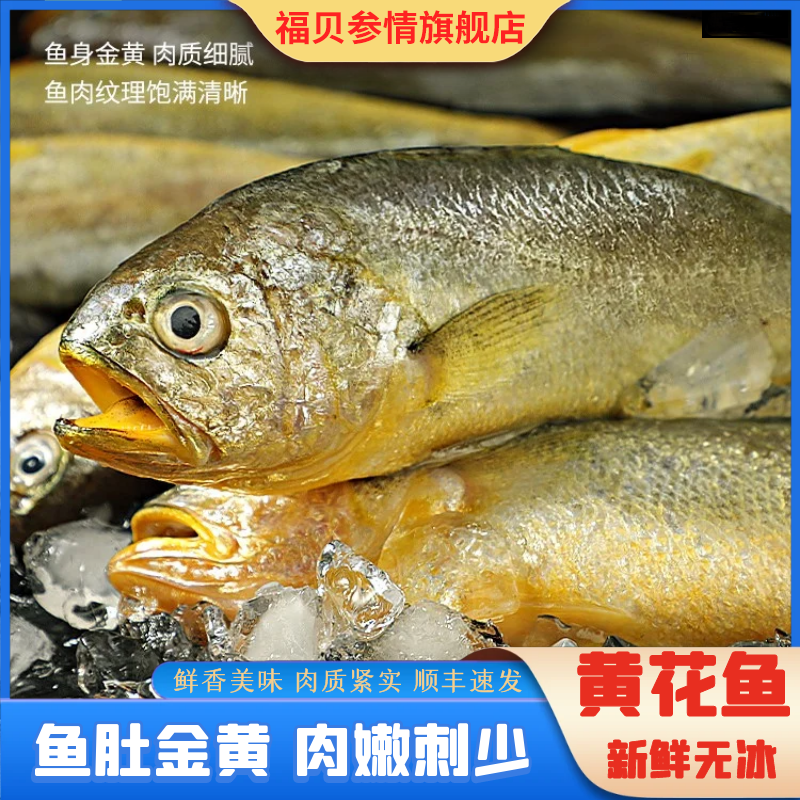 渤海盛宴大连大黄鱼黄花鱼冷冻水产生鲜新鲜海鲜鱼免杀洗4斤4条