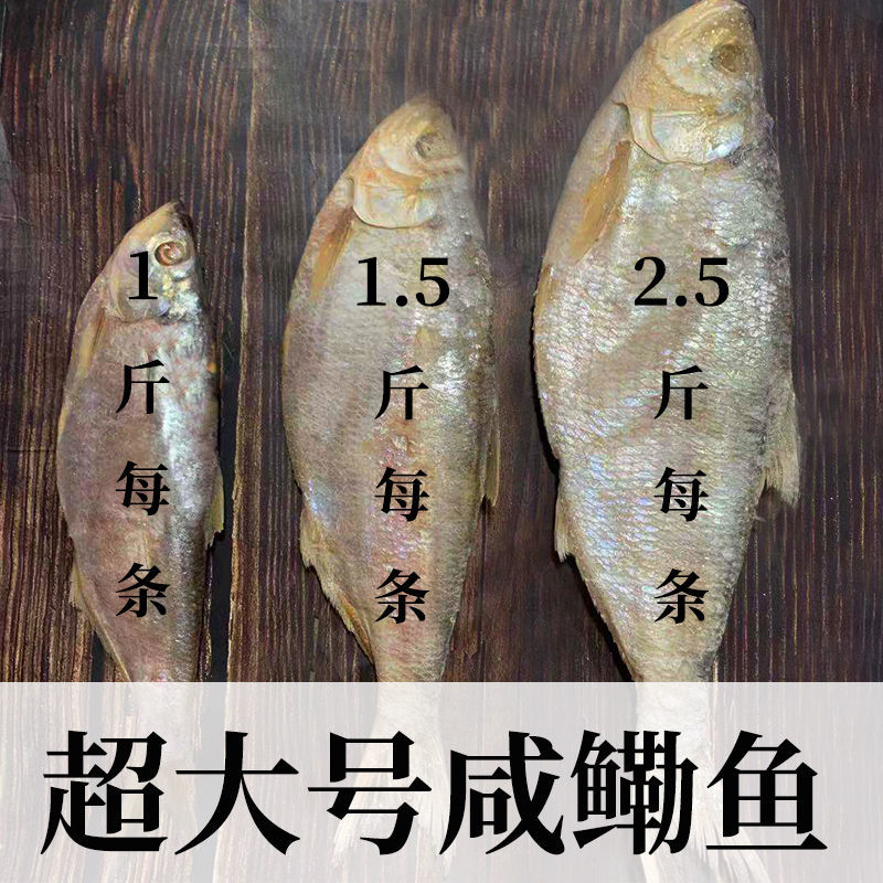 【1~3斤/条】特大号咸鳓鱼腌制白鳞臭霉香力鱼海鲜干货山东特产