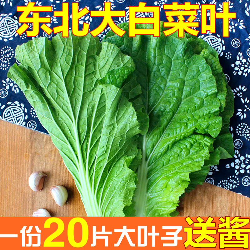 东北农家白菜叶子蔬菜包饭包新鲜绿色大白菜叶蘸酱菜现摘现发20叶
