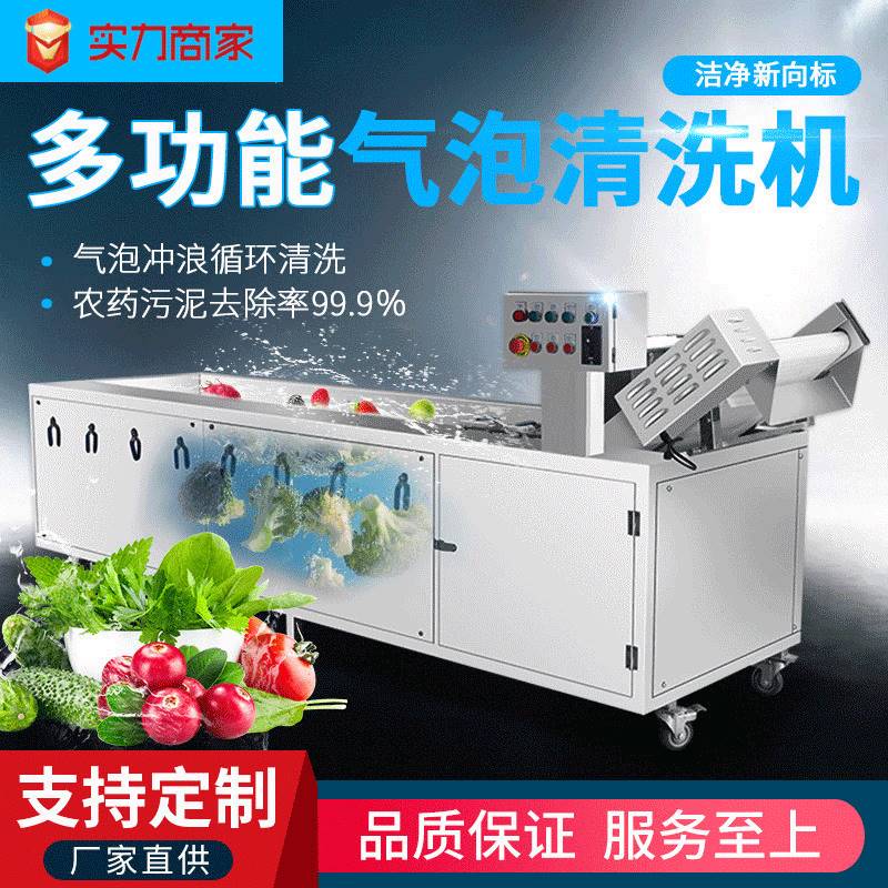 果蔬喷淋设备洗菜机 海鲜气泡清洗机 不锈钢全自动水果蔬菜清洗机
