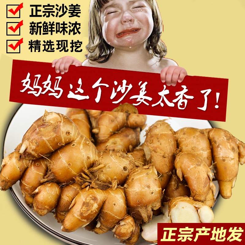 正宗广东茂名特产新鲜沙姜/山奈 白切鸡调味配料可种子苗砂姜包邮
