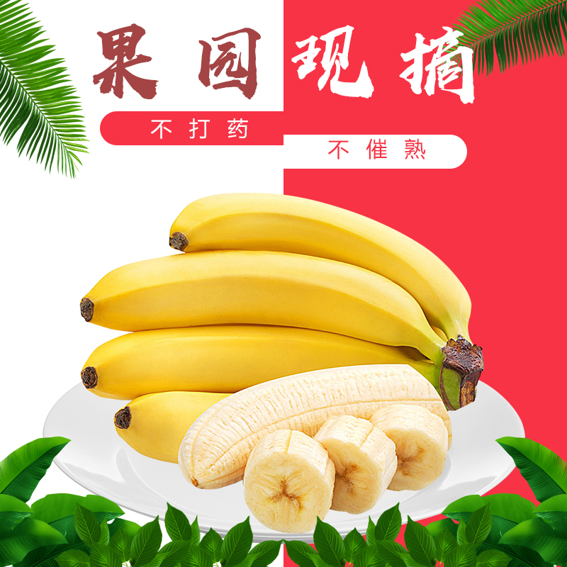 香蕉香甜软糯无催熟剂自产自销芭蕉皇帝蕉现摘8斤装包邮