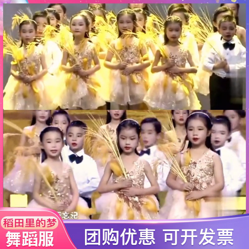 稻田里的中国梦演出服装儿童黄色纱裙蓬蓬裙禾下乘凉梦稻穗表演服