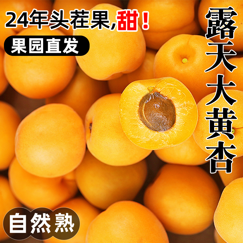 陕西大黄杏子新鲜水果当季时令孕妇酸甜青脆杏现摘金太阳10斤包邮