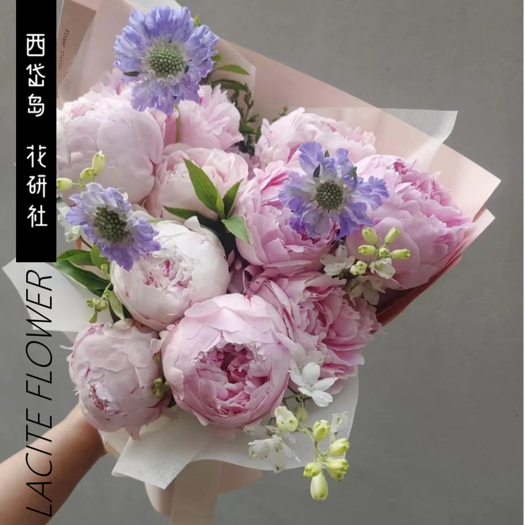 西岱岛 北京同城鲜花速递生日礼物祝福新款粉芍药10支混搭花束