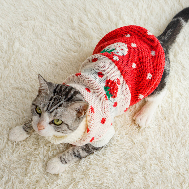 宠物猫咪毛衣蓝猫布偶英短泰迪冬装小猫幼猫的衣服猫冬季冬天保暖