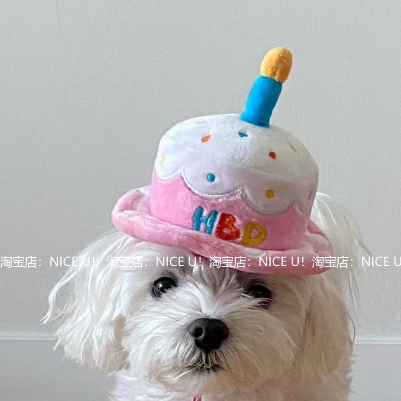 NICE U !出口单韩国ins宠物生日蛋糕帽子狗狗猫猫生日发声玩具帽