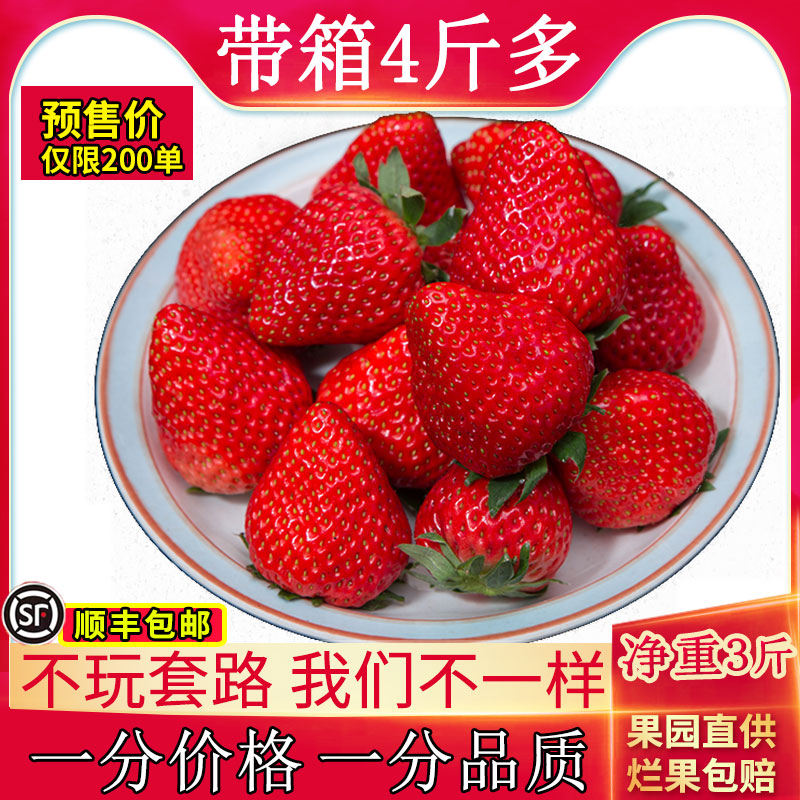 红颜草莓新鲜现摘3斤长丰奶油草莓精品当季水果顺丰整箱包邮
