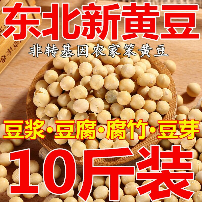 东北非转基因大粒黄豆打豆浆豆腐专用农家自种新黑龙江大豆10斤
