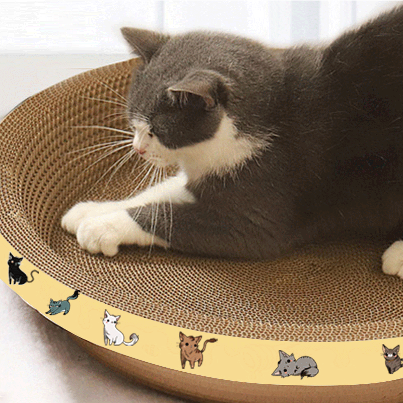 猫抓板窝猫咪用品瓦楞纸盆特大号耐磨不掉屑圆形一体磨爪玩具爬盘