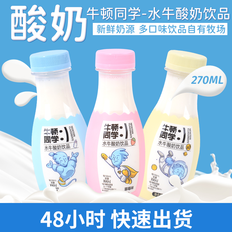 新品水牛酸奶饮品生牛乳发酵小瓶高营养草莓味原味儿童酸奶整箱