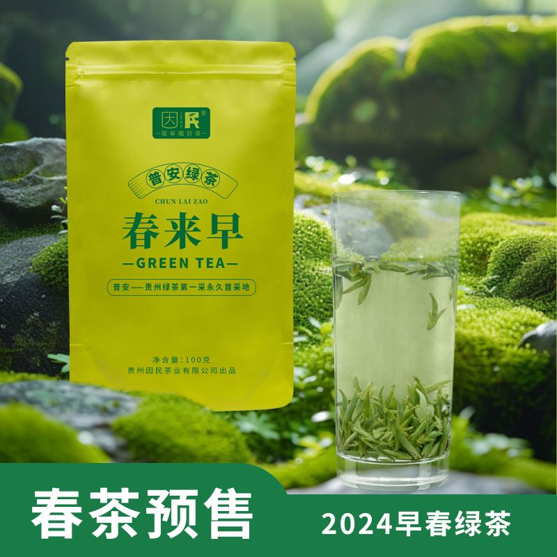 贵州龙井绿茶2024新茶上市 特级春茶豆香浓香型自饮袋装 100g*1袋
